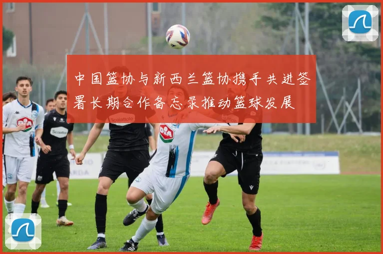 中国篮协与新西兰篮协携手共进签署长期合作备忘录推动篮球发展