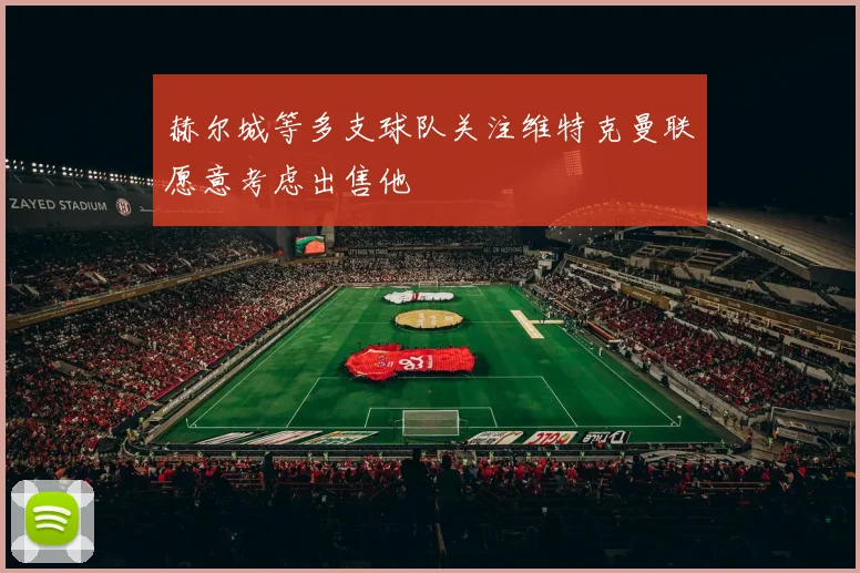 赫尔城等多支球队关注维特克曼联愿意考虑出售他